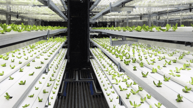 Pre-Owned Shipping Container Farm